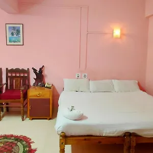 Hotel Downtown, Munnar